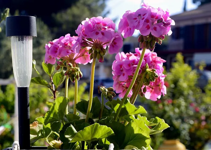 Ionian Balcony * ليكسوري