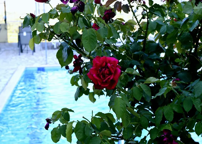 Ionian Balcony * ليكسوري