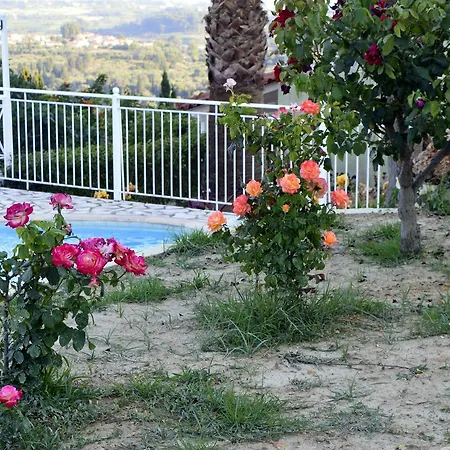 Appartement Ionian Balcony